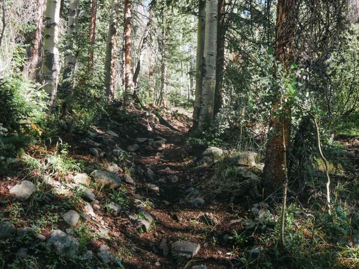 Sawmill Gulch Trail photo 4