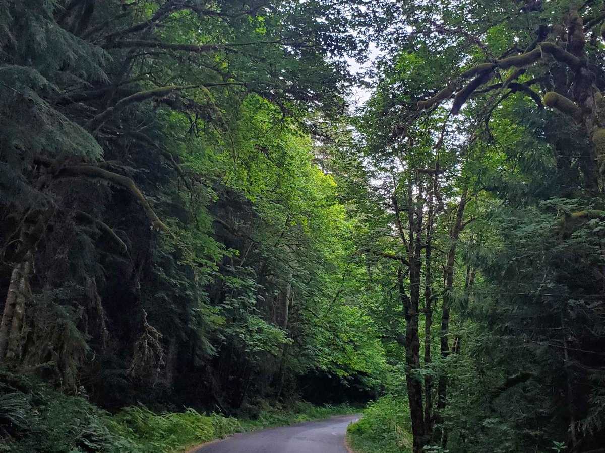 Salmon River Hiking Trail 2618000 photo 5
