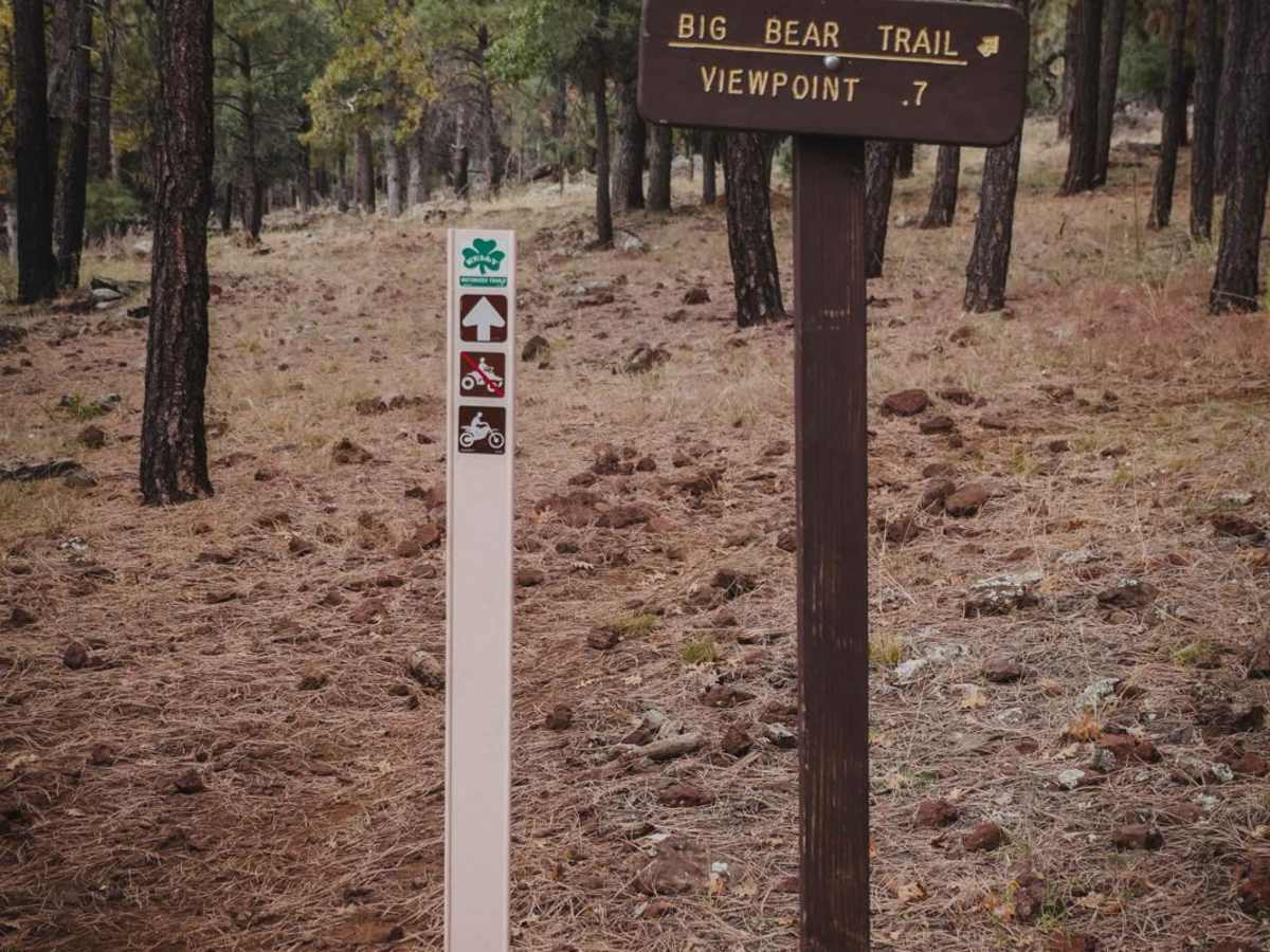 Big Bear photo 2