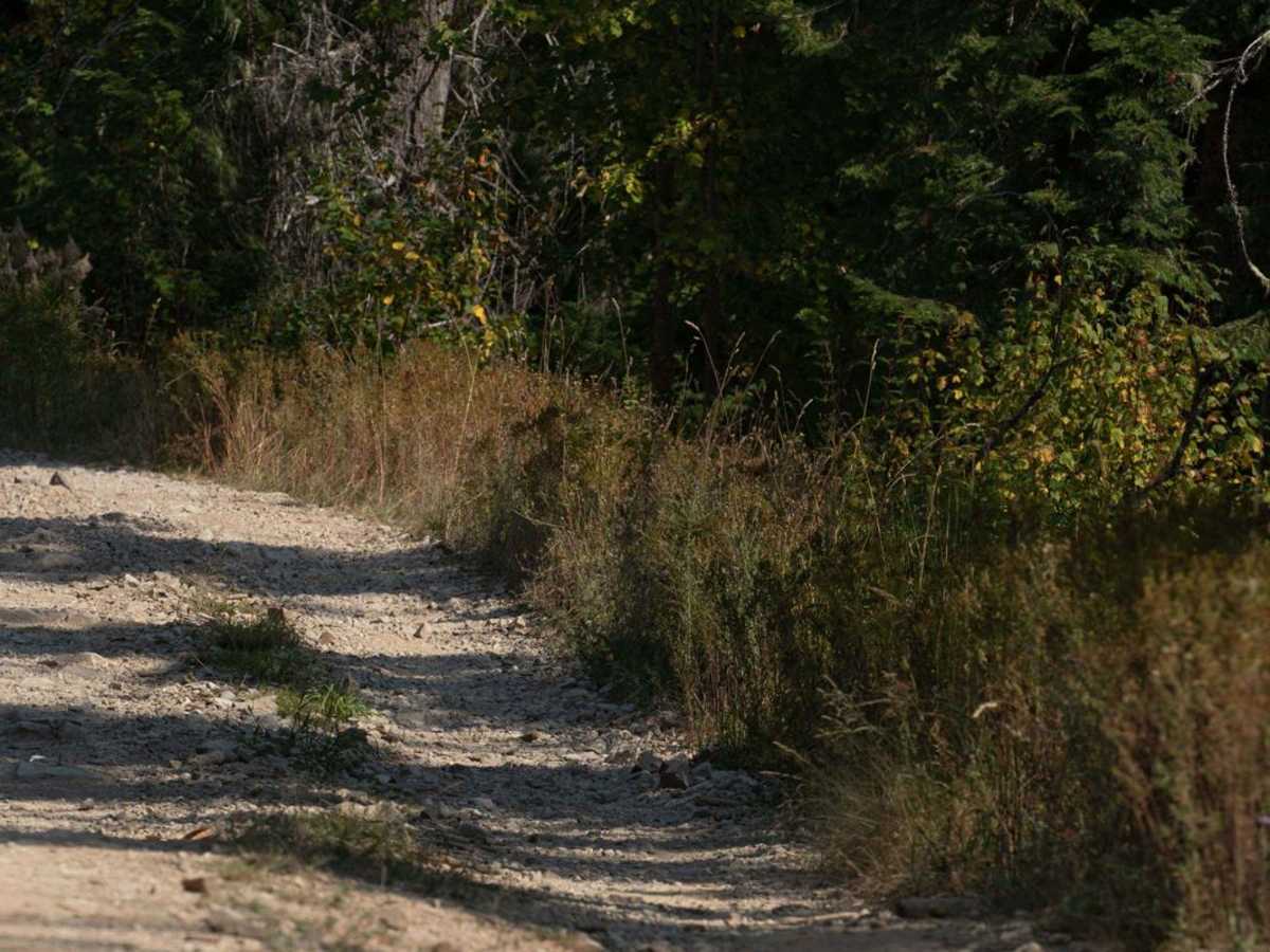 Hamilton Mountain photo 4