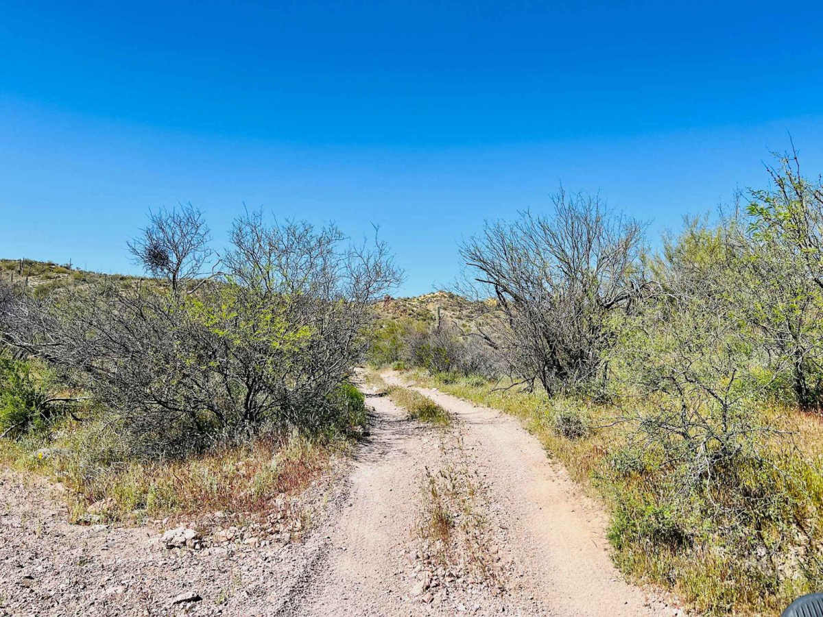 Turtleback Wash photo 4