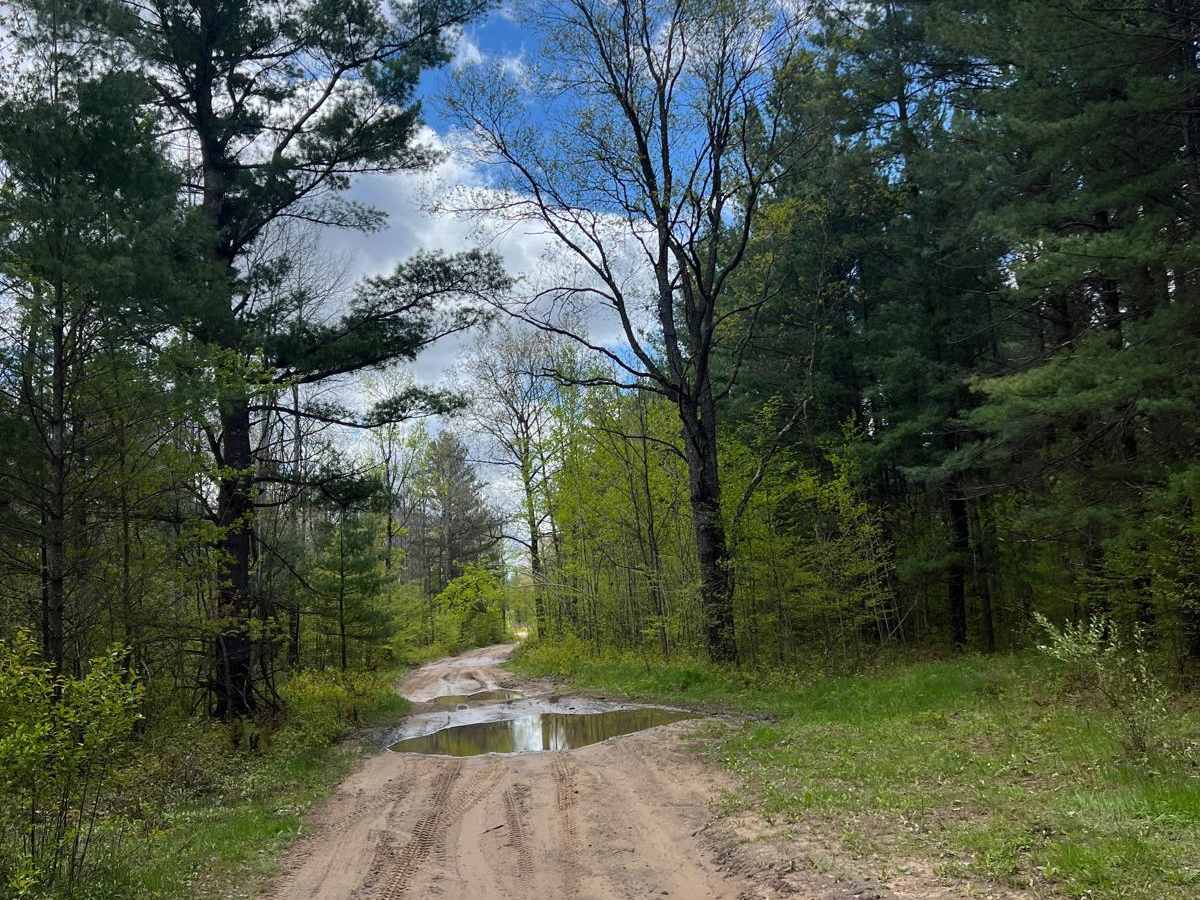 High Rollway River Loop Trail photo 5