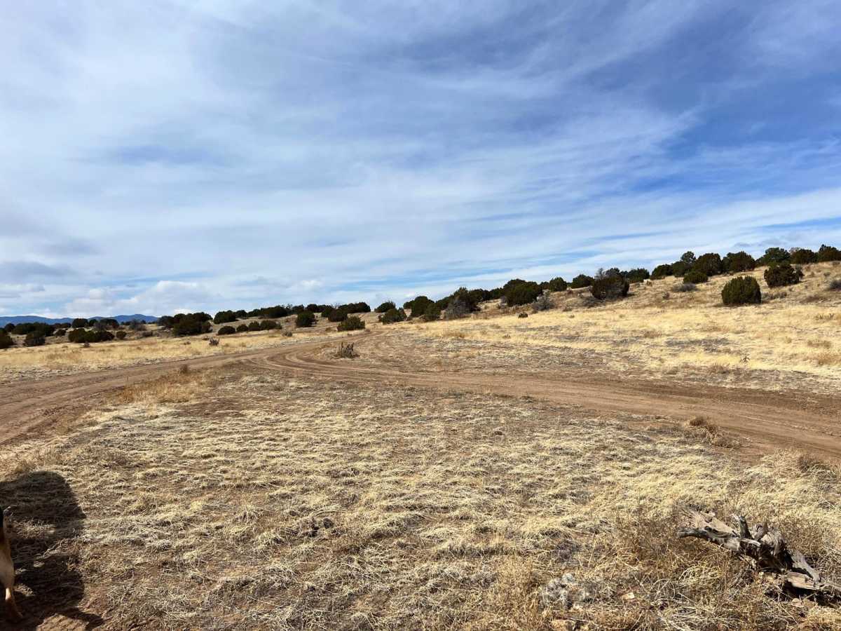 Patton Canyon Lookout - BLM#6102H photo 2
