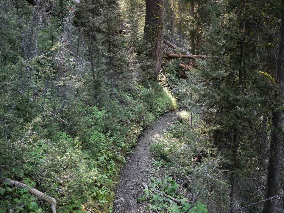 Silver Creek photo 6