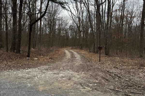 Wolf Run Supply Trail