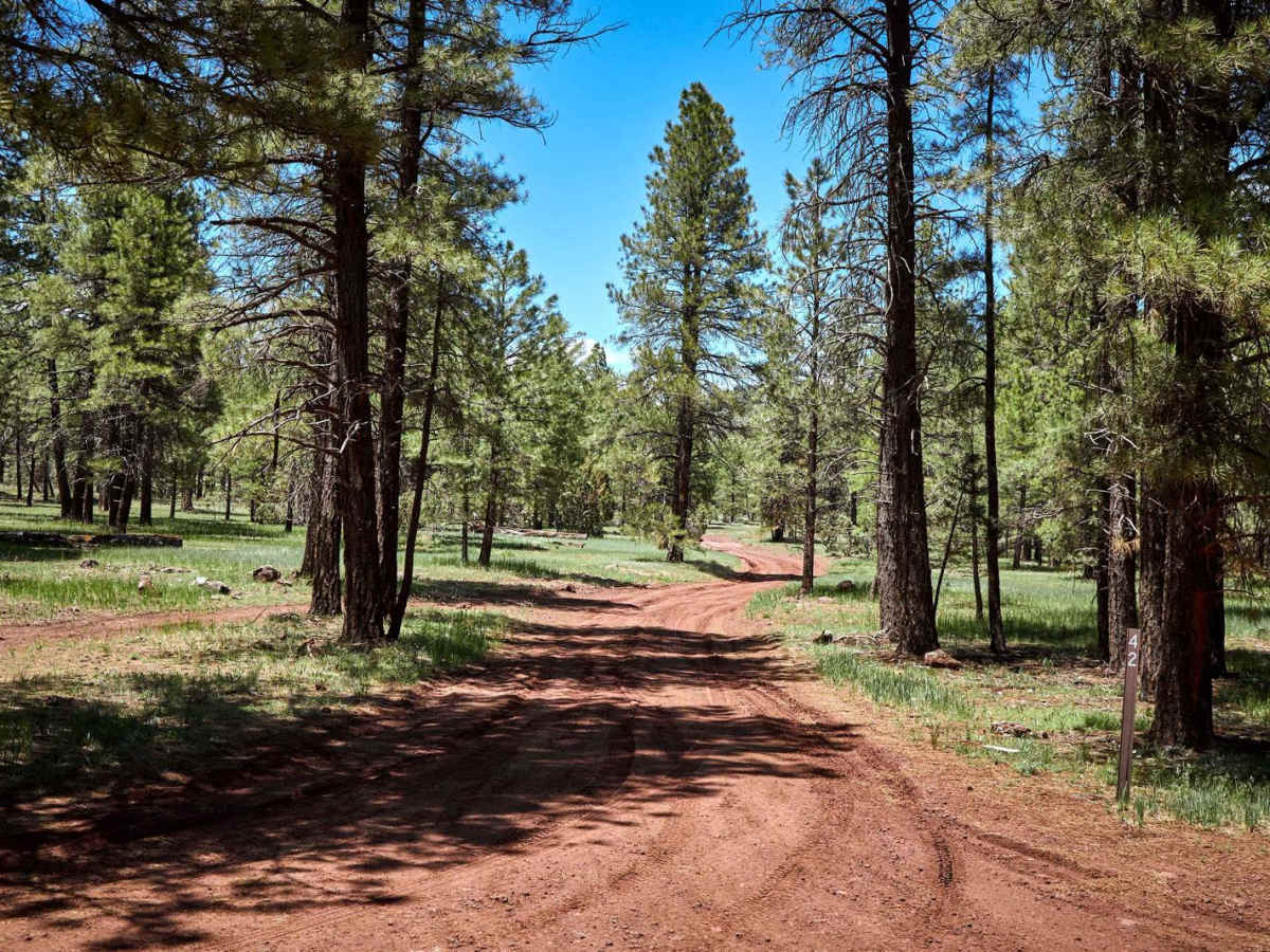 FR 42 trail photo