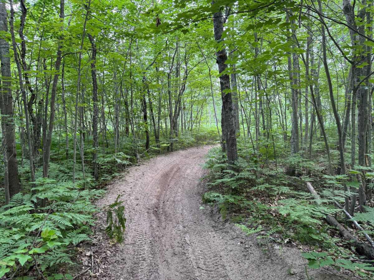 Leetsville ORV Trail photo 6
