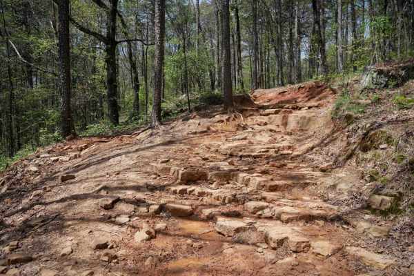 Black Oak Ridge Spur South