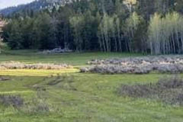 Manning Creek