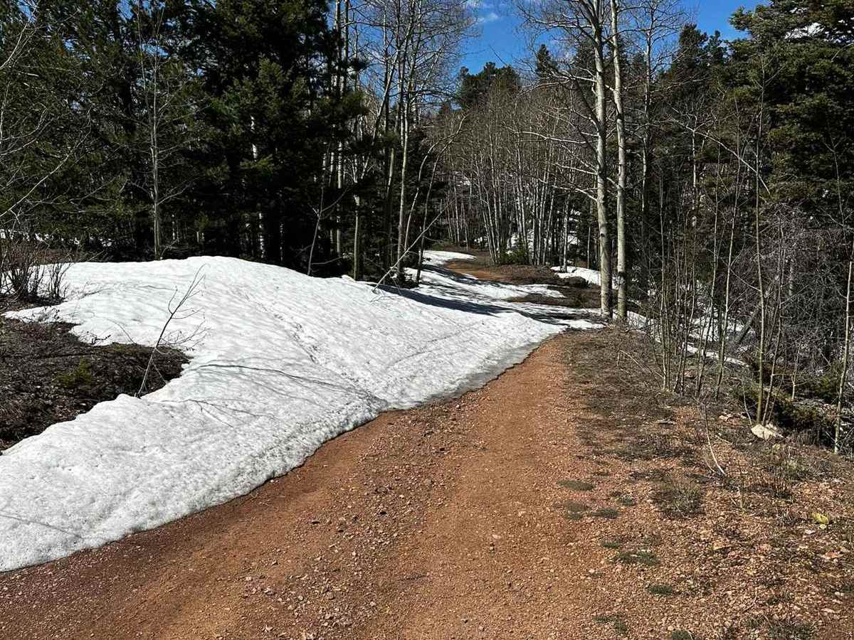 Roundtop Mountain Road - 321 photo 5
