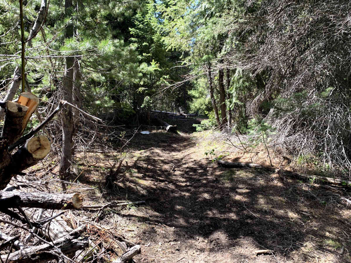 North Fork Deer Creek photo 3