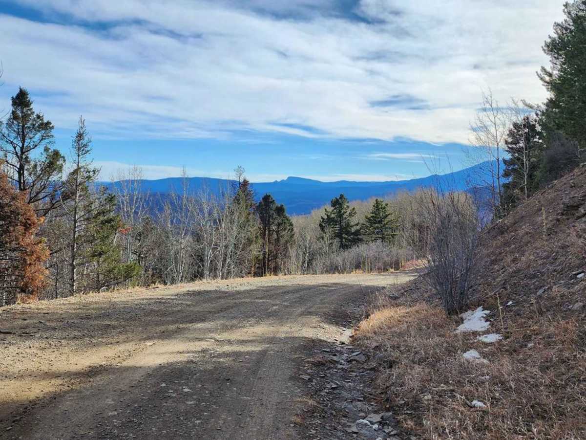 Forest Road 722 photo 5