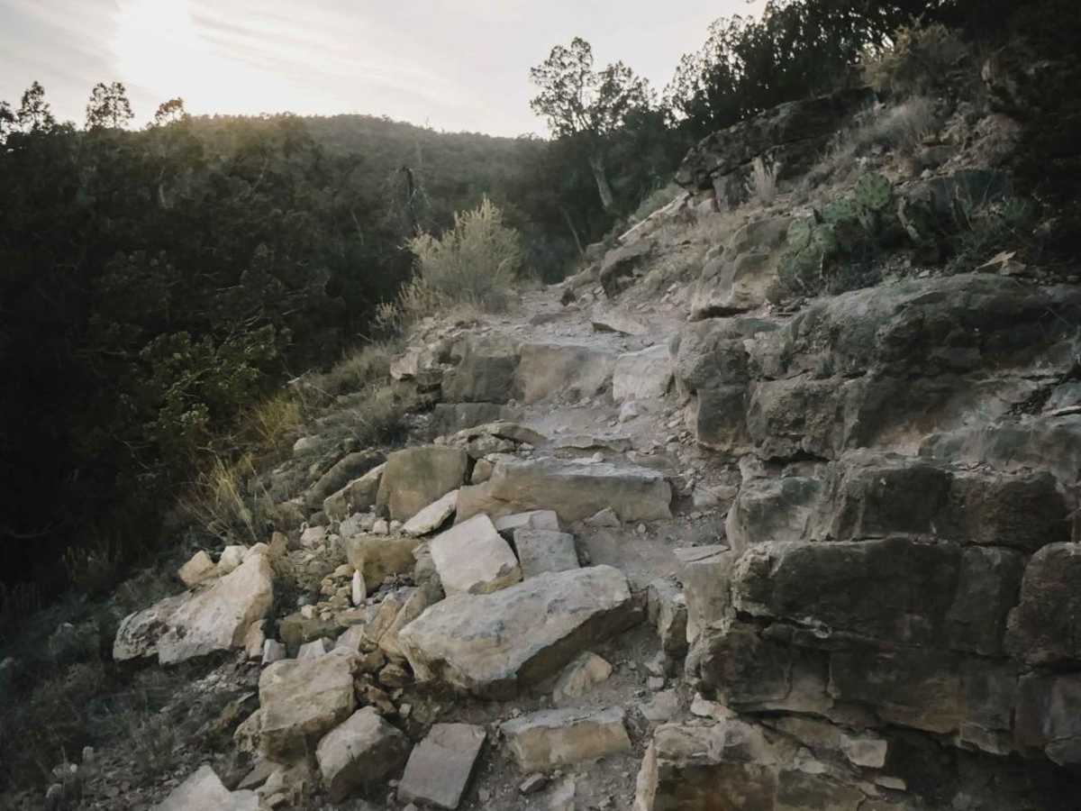 Birdhouse Ridge trail photo