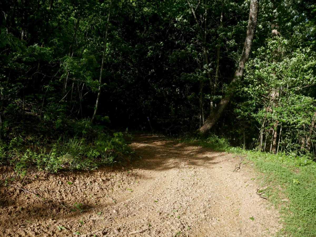 RV21 photo 2