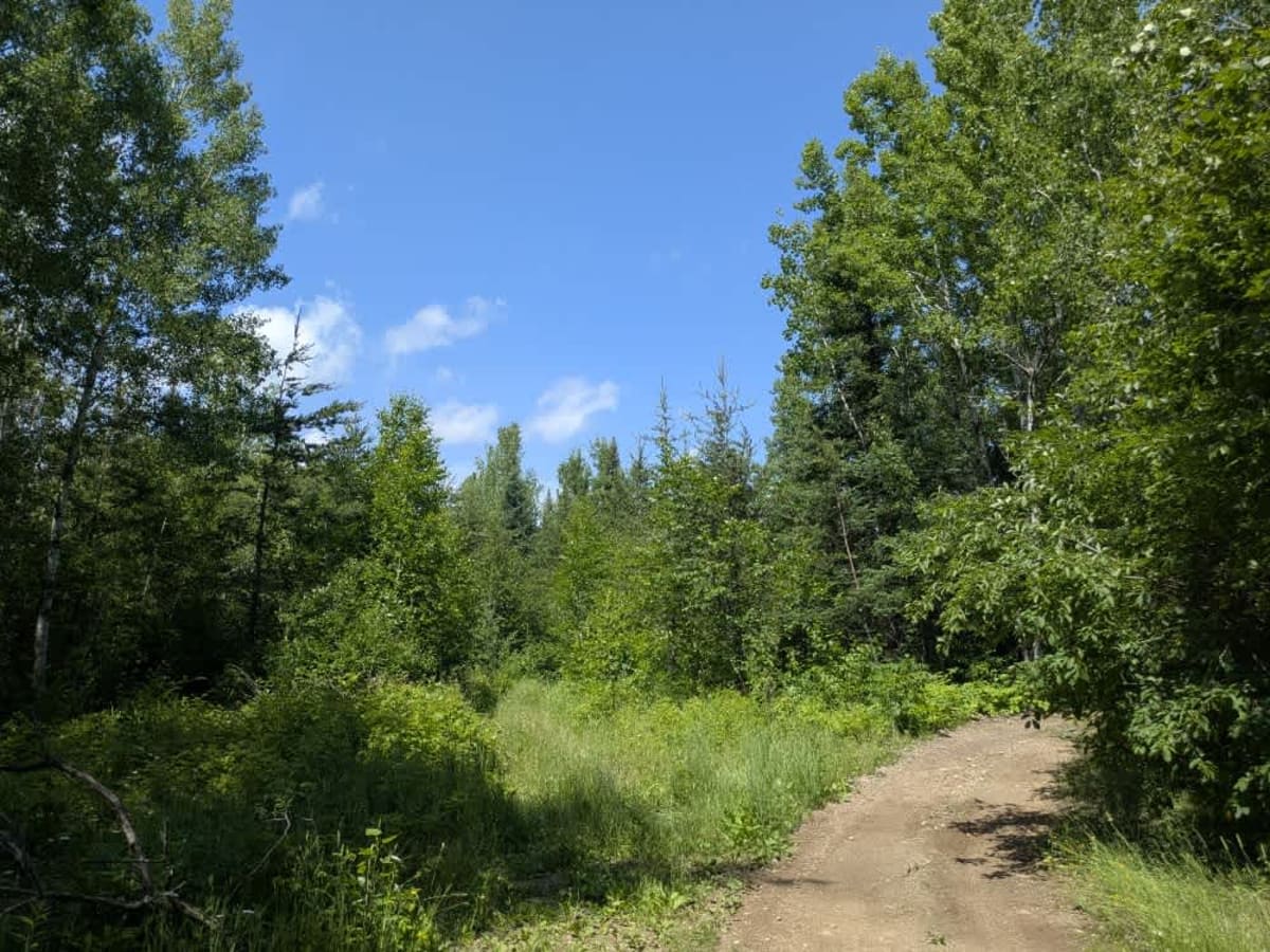 Linwood Lake Road West photo 5