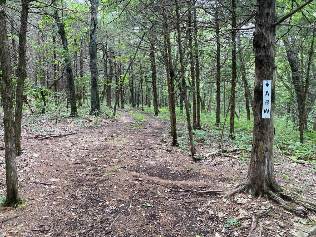 A And W trail photo