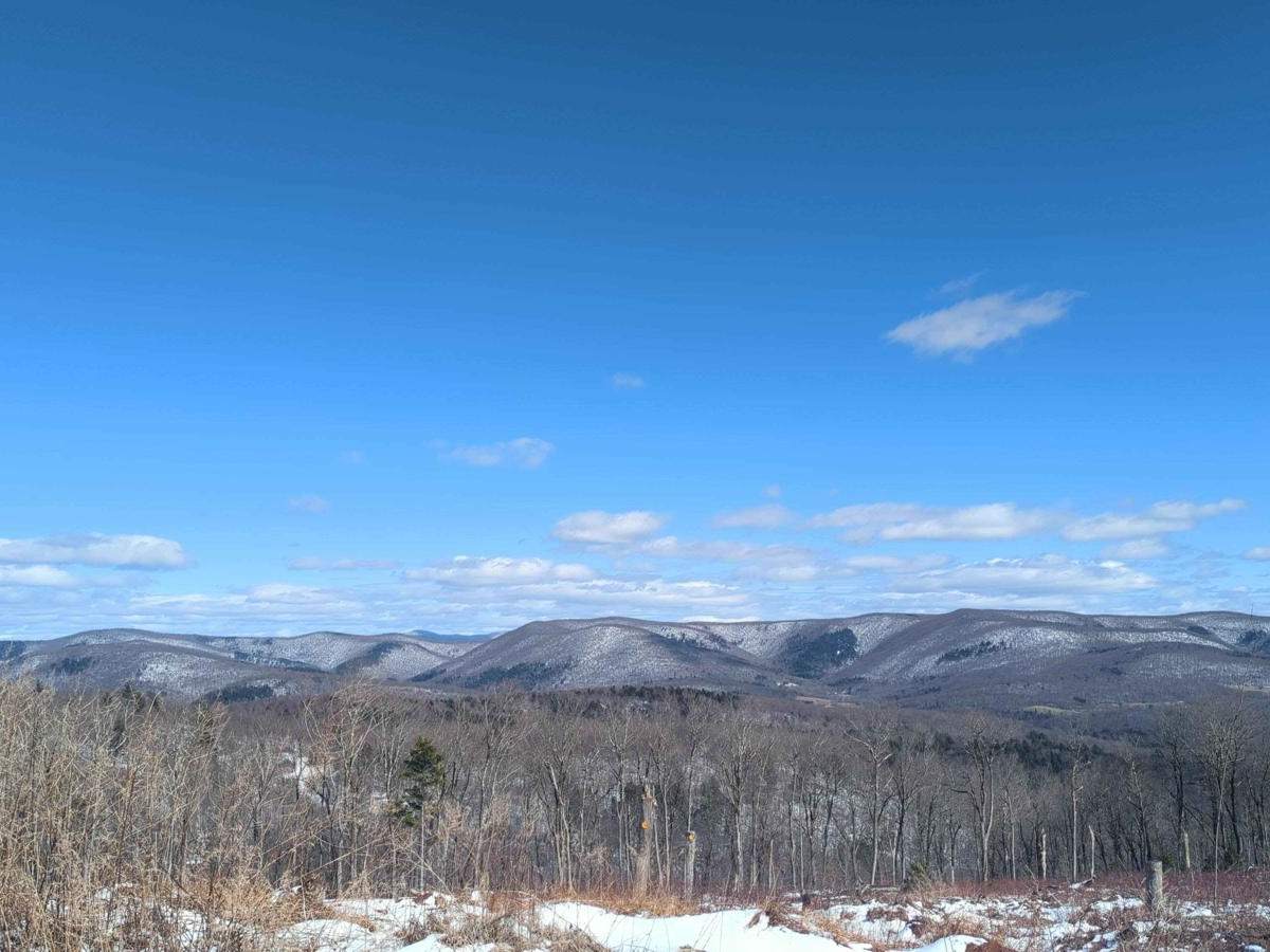 Schaeffer Road trail photo