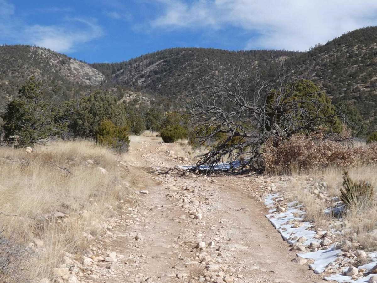 West Mountain photo 6