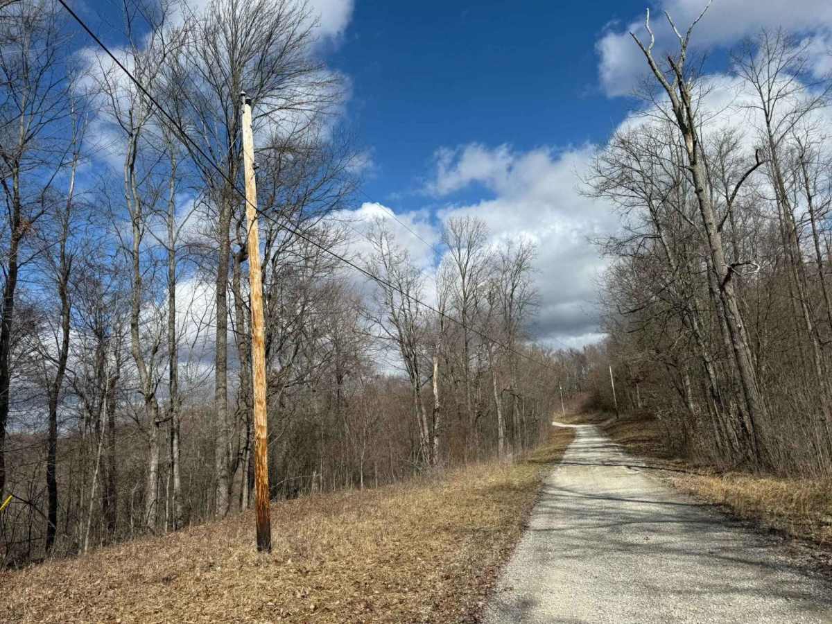 Plecher Road to Pyramid House photo 6