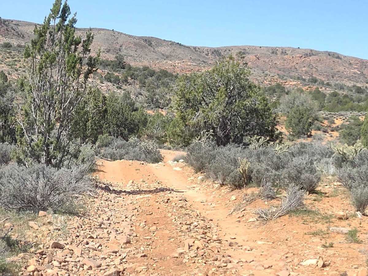 Red Canyon 2.5 photo 3