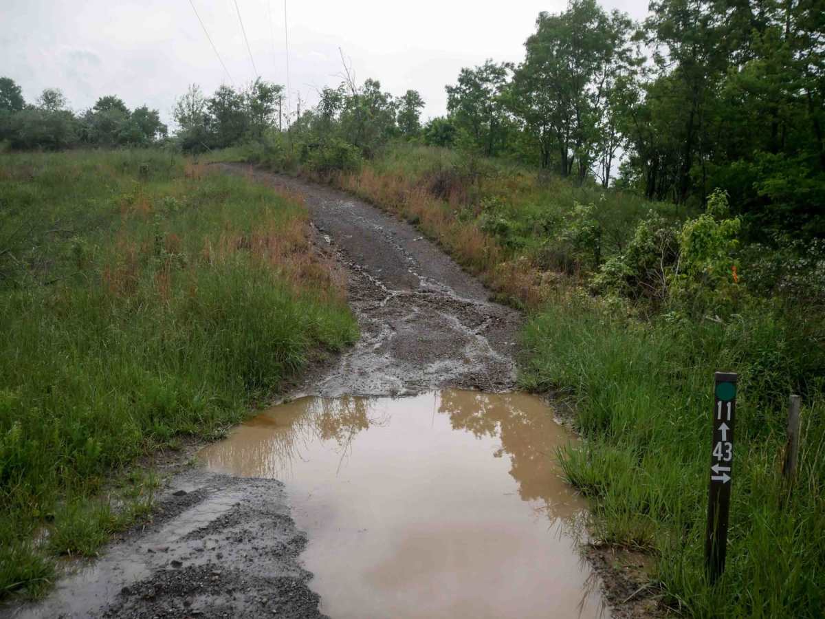 CC11 trail photo