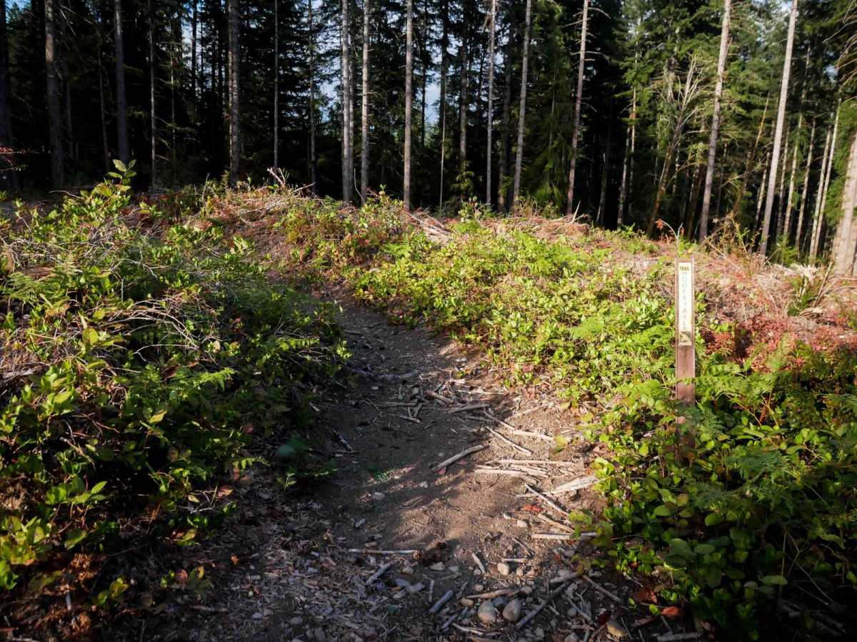 Hoof and Tail trail photo