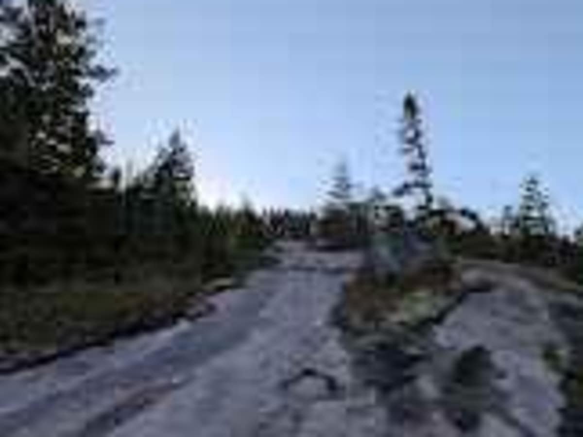 Turtle Mountain photo 6