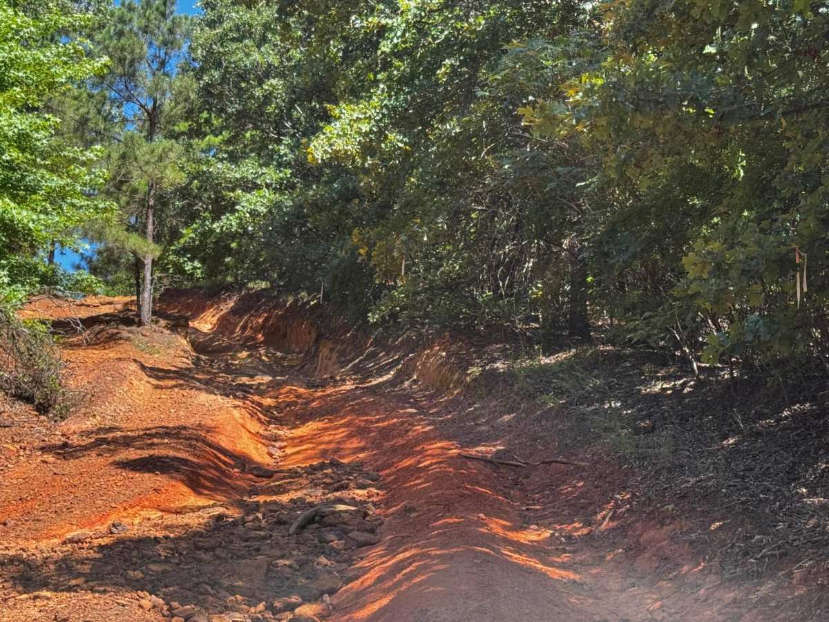 Pipeline Road photo 3