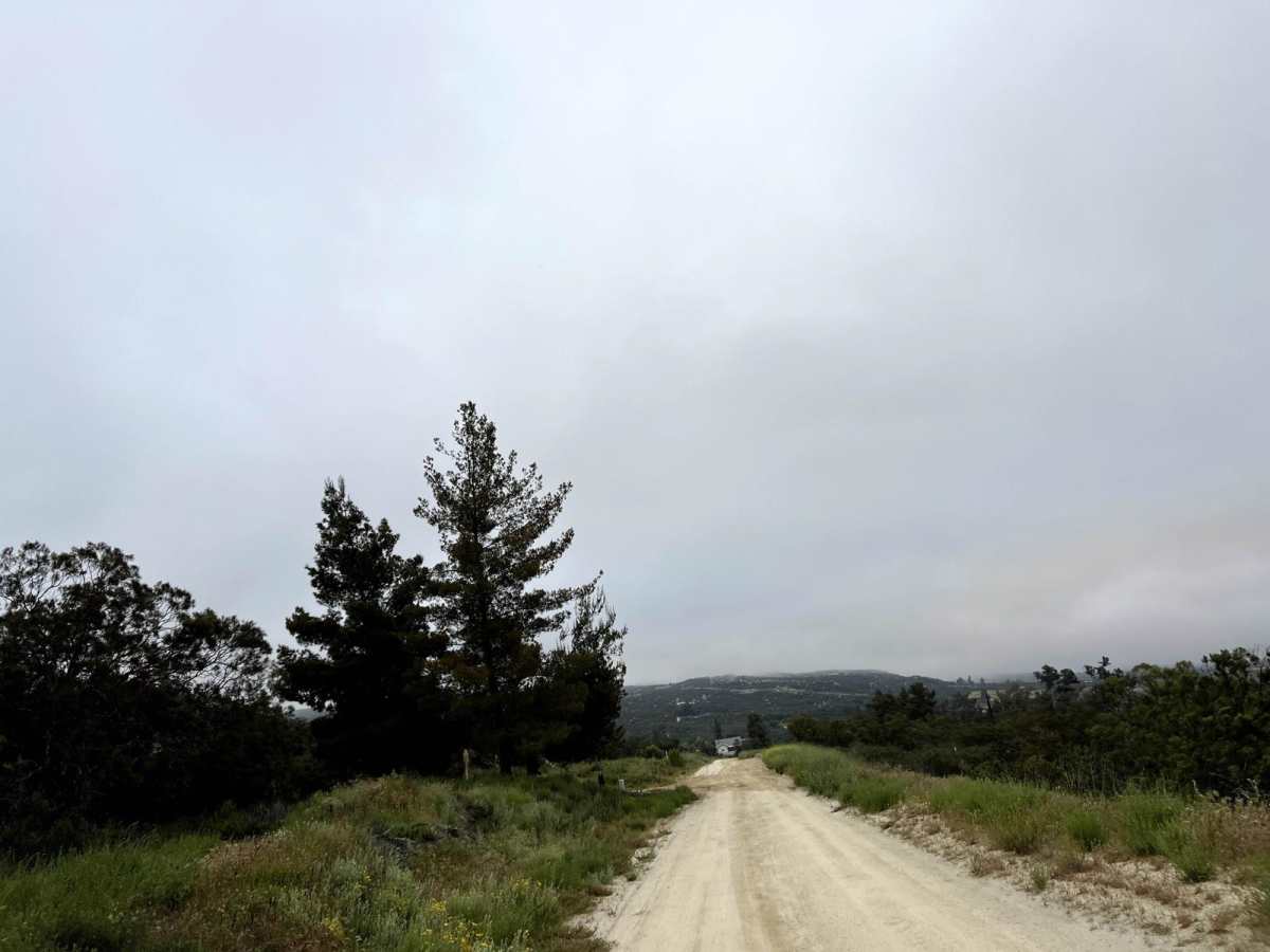 Juan Diego Flat photo 5