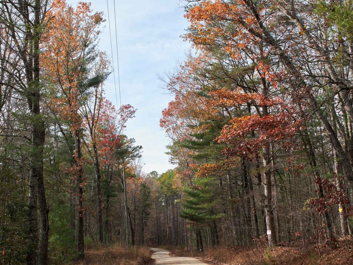 Woodall Shoals - Road 757 photo 6