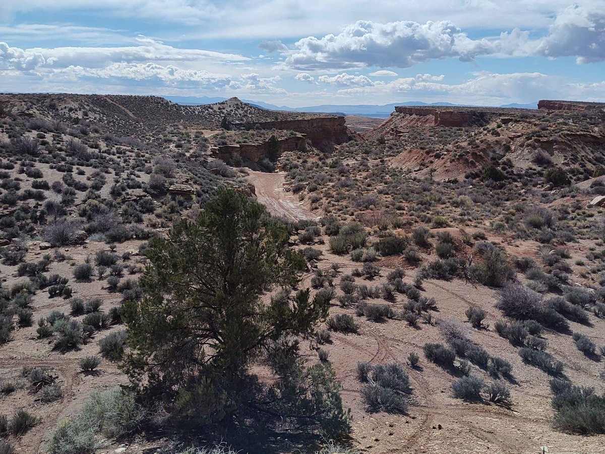 Toquer Fun Loop trail photo