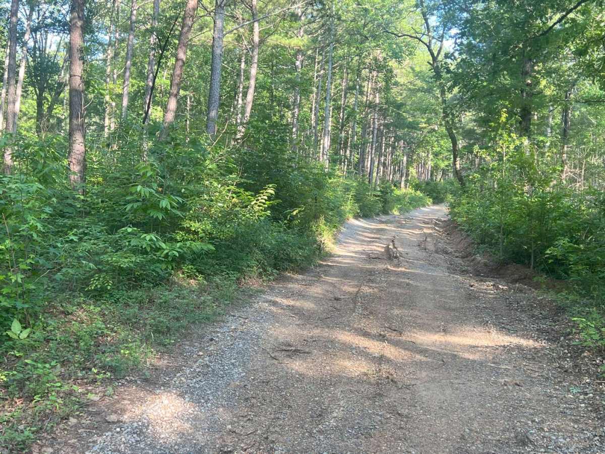 Mount Joy - Forest Road 216 photo 2