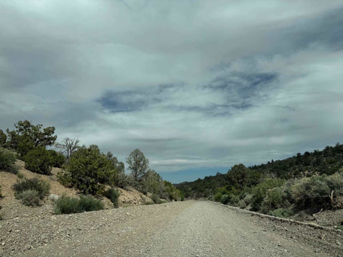 Harris Springs Cutoff Road photo 3