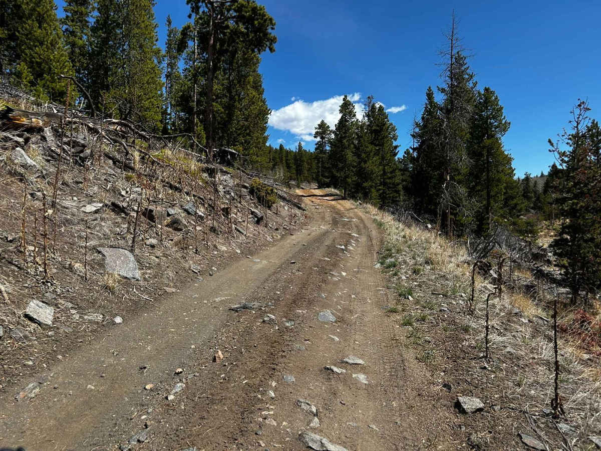 Pratt Creek Cutoff North photo 4