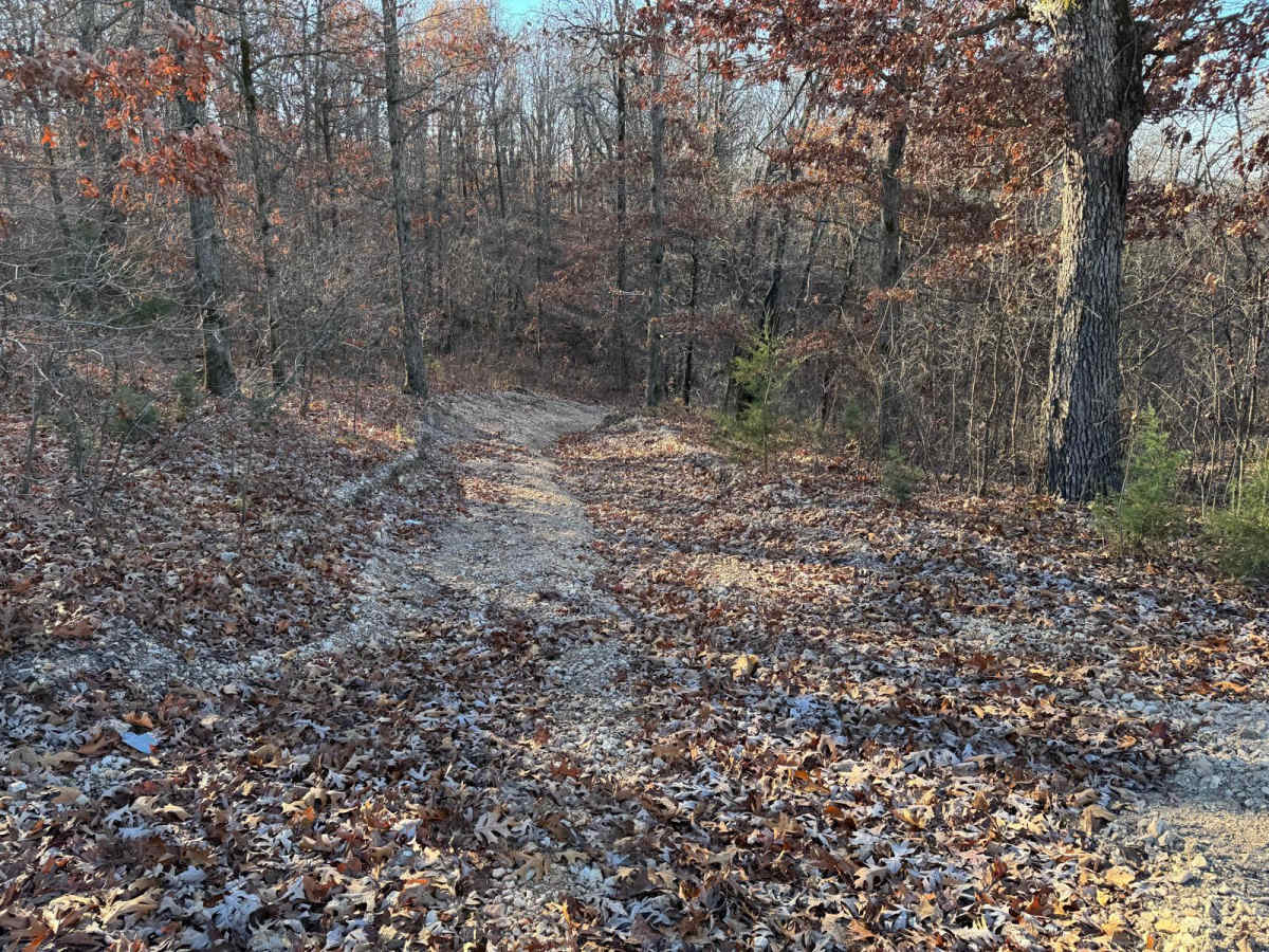 Yellow 209 trail photo