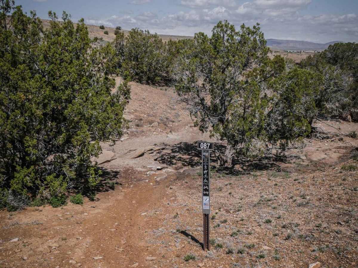 BLM Route 87 photo 2