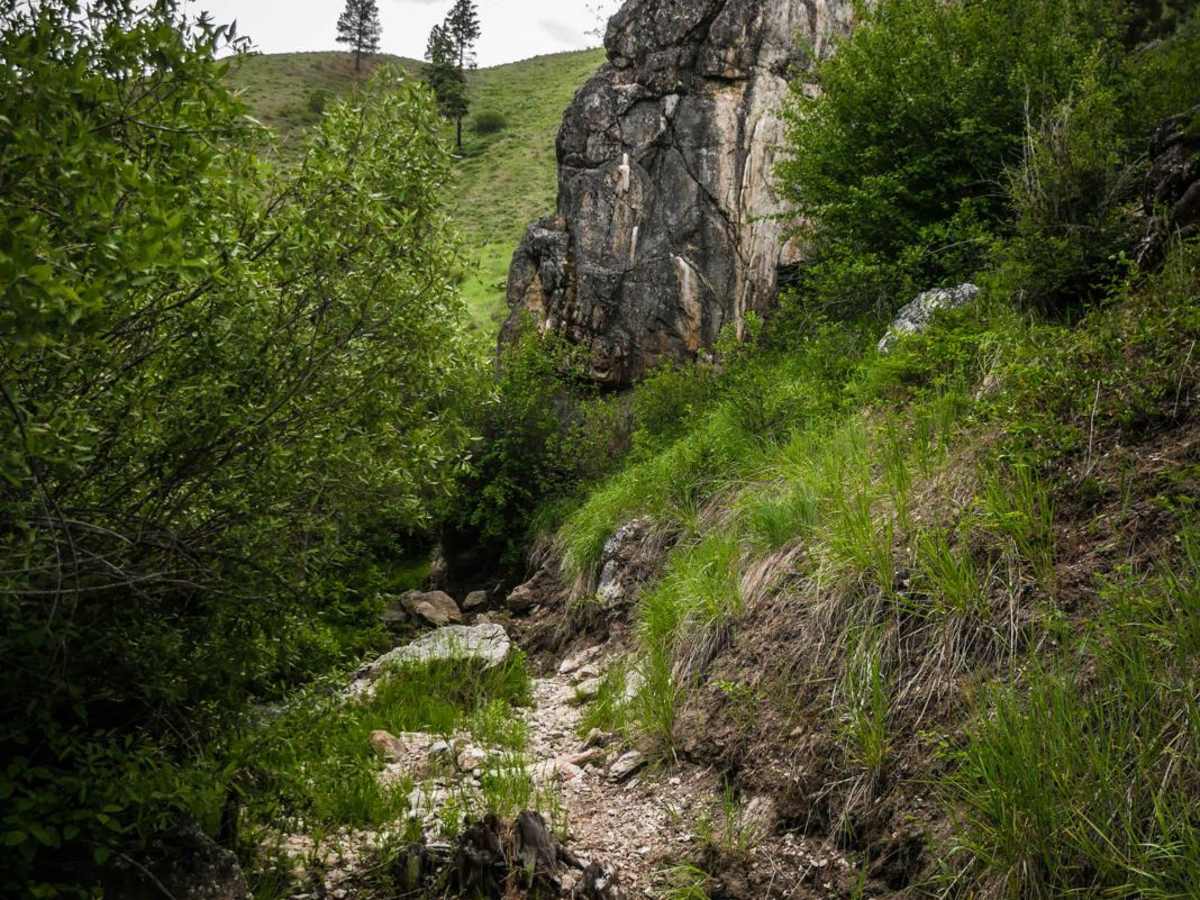 400 trail photo