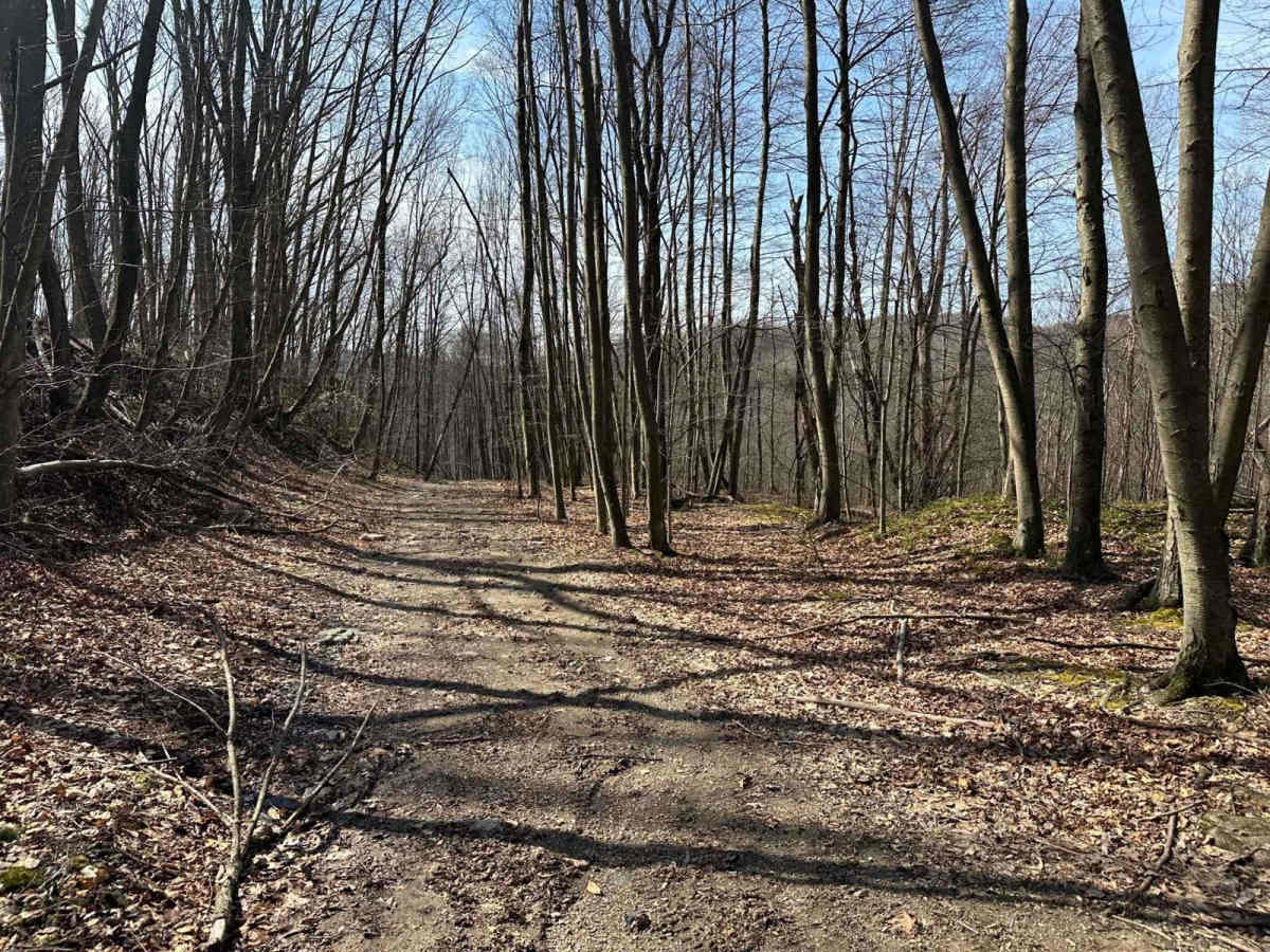 Ashland 5 trail photo