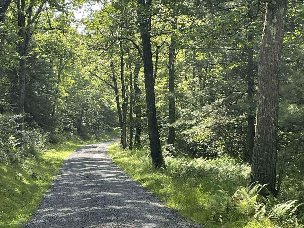Third Gap Road photo 3