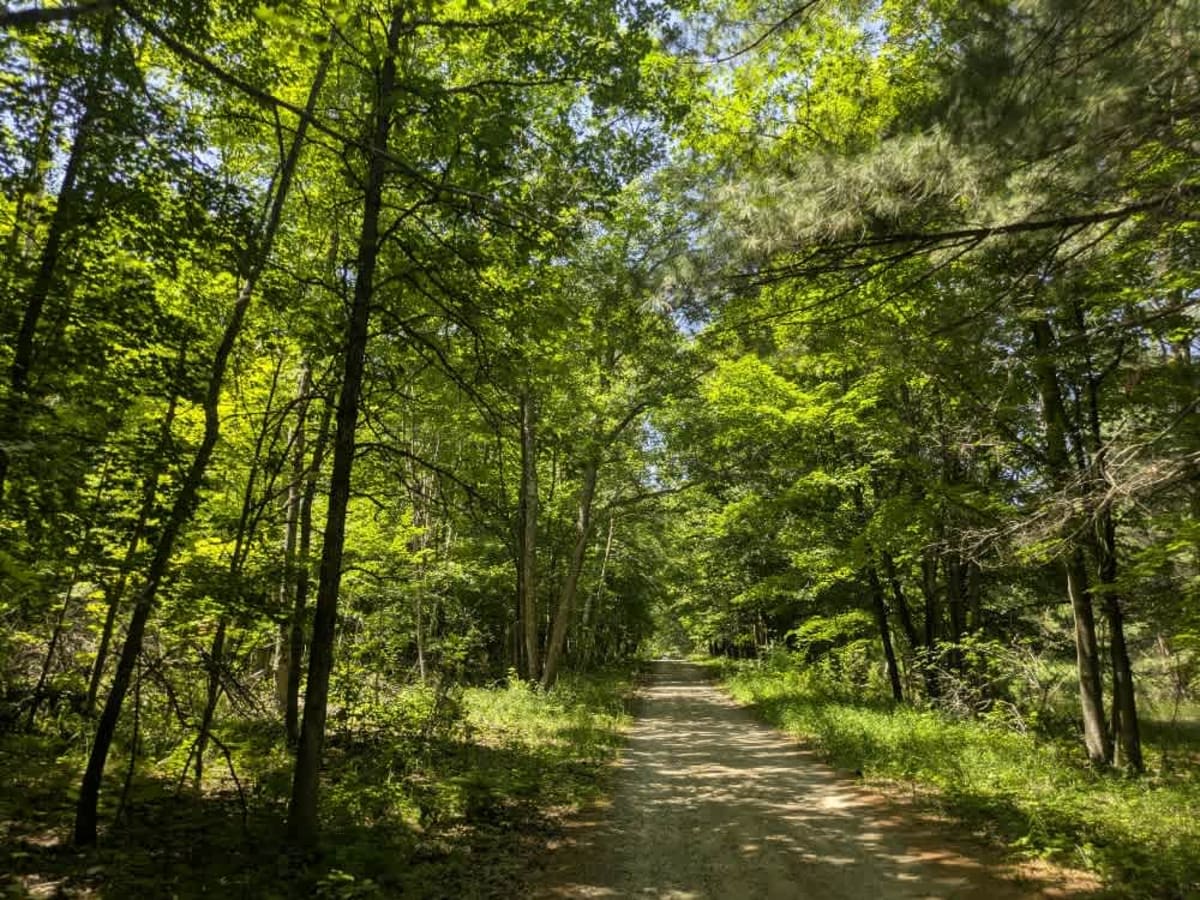 2103 trail photo