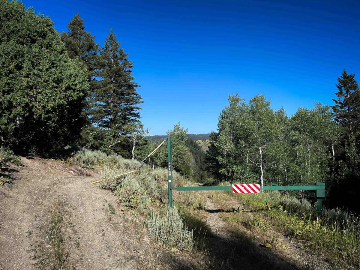 Powerline photo 5