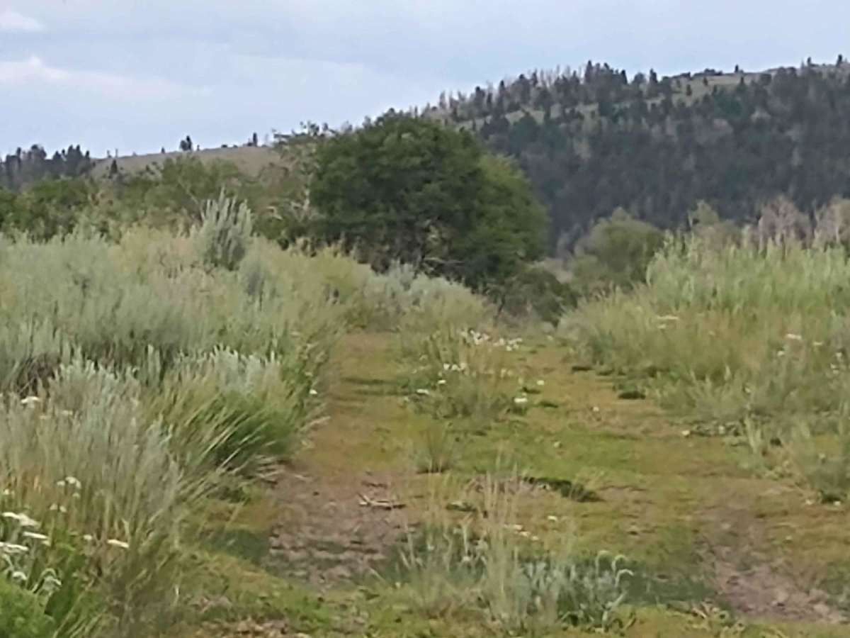 Interconnect Spur (FS 41186, 42468) photo 4