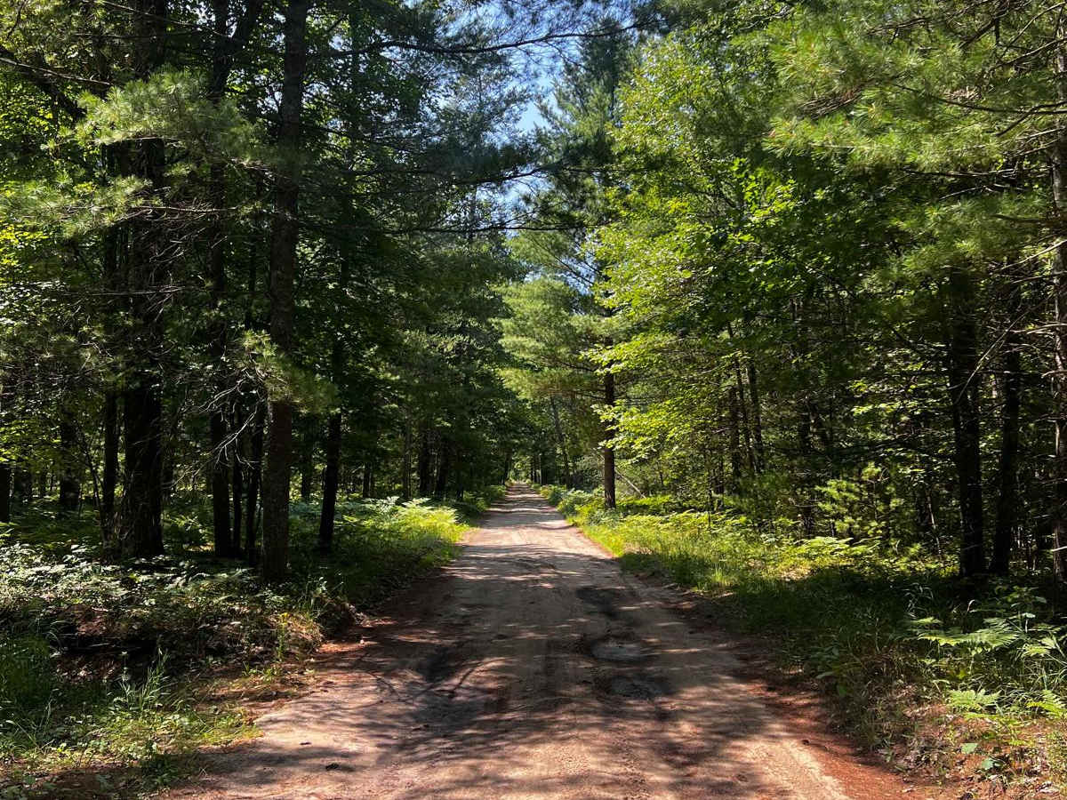 No. 12 Trail photo 2