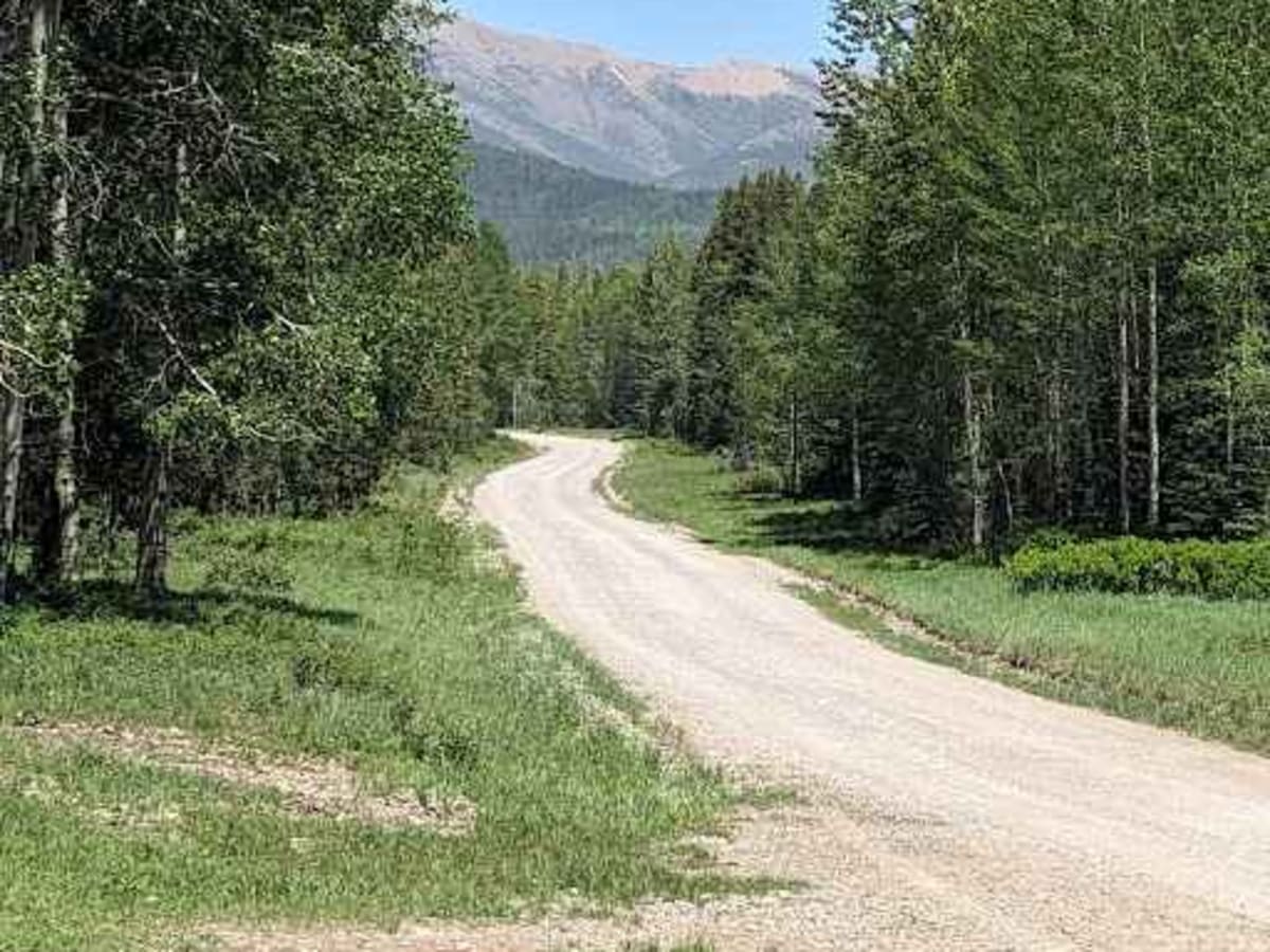 Lodgepole Pass photo 6
