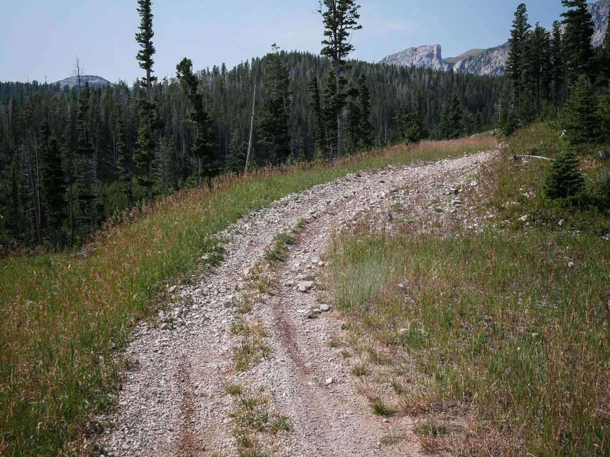 Carrol Creek photo 4