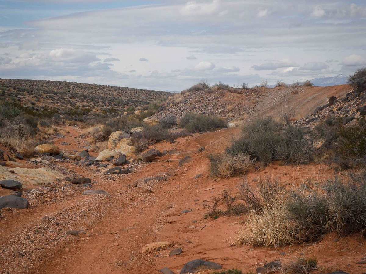 2018 ATV photo 4