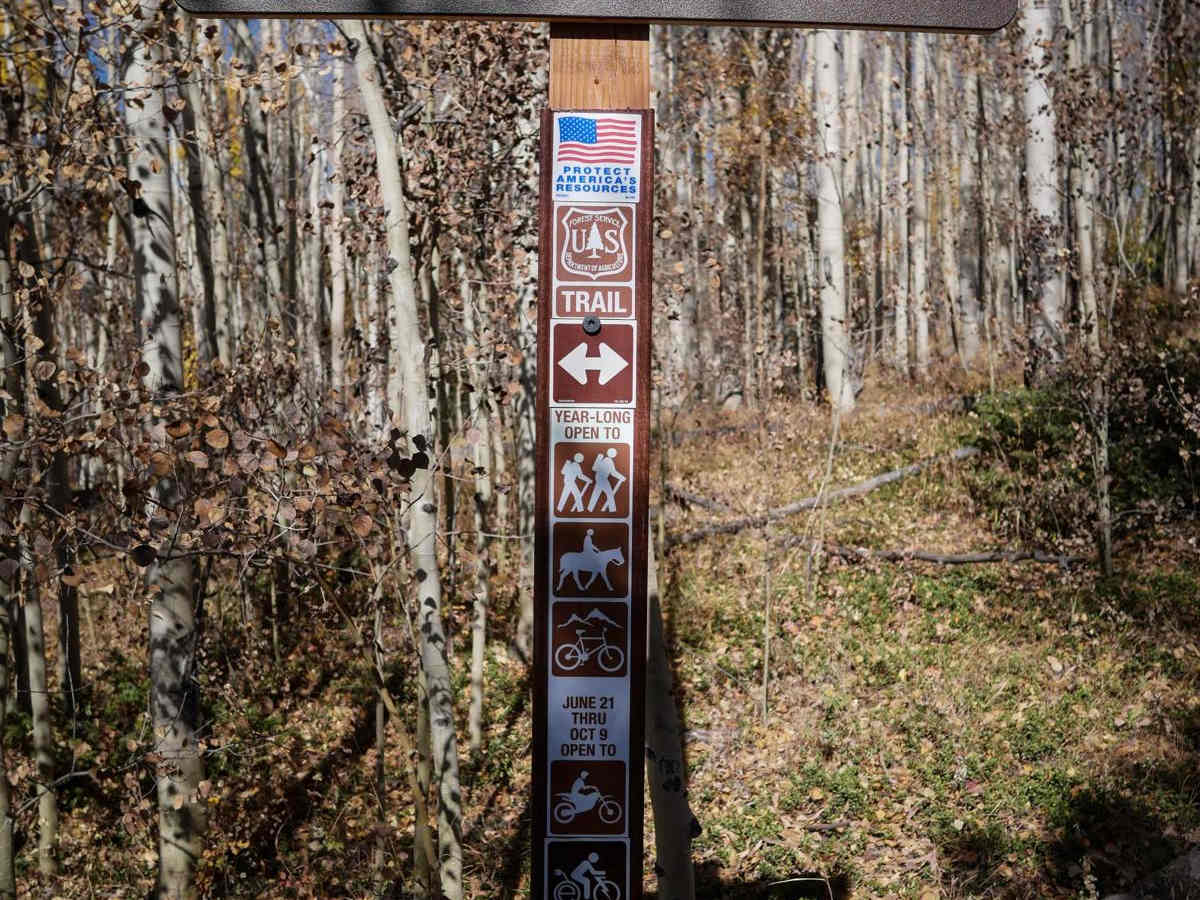 Tenderfoot Mountain photo 4