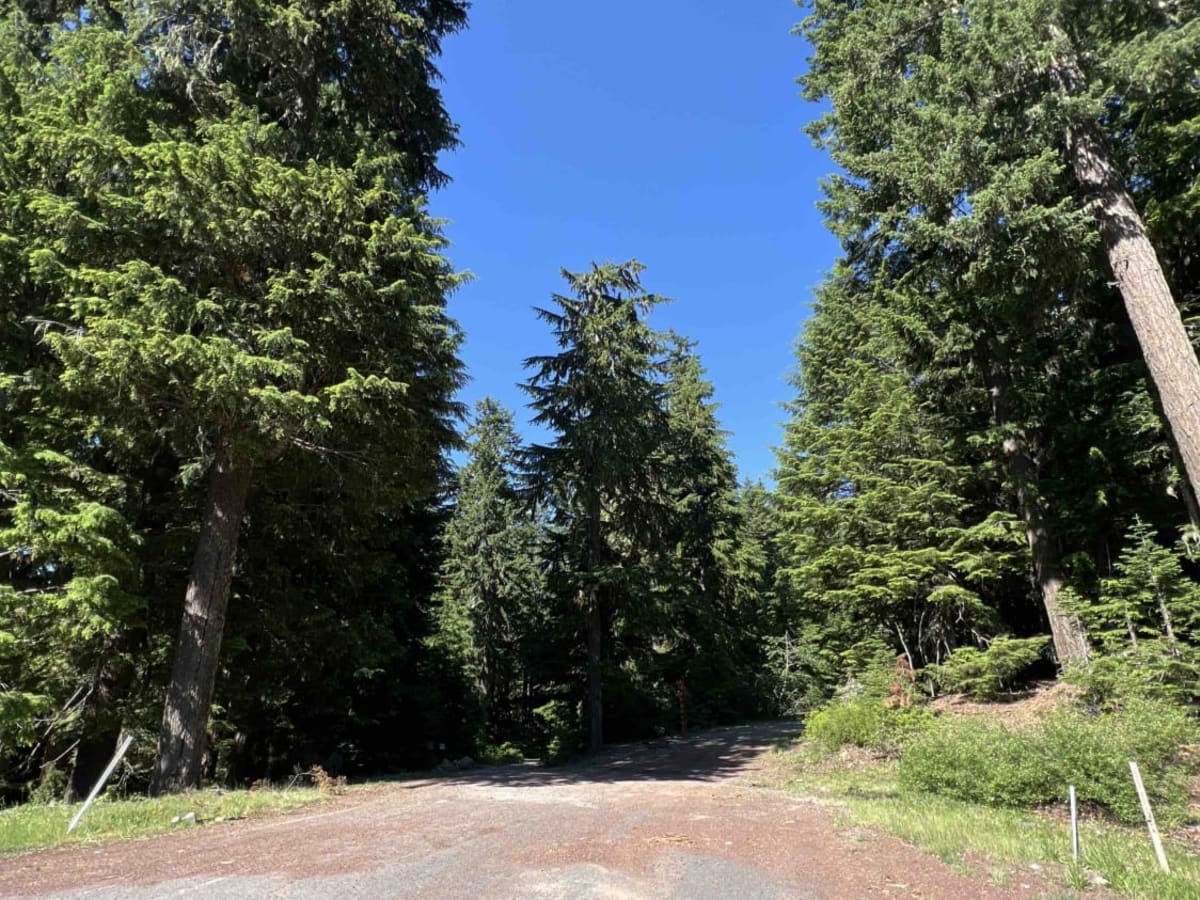 Clear Lake 2660 photo 3