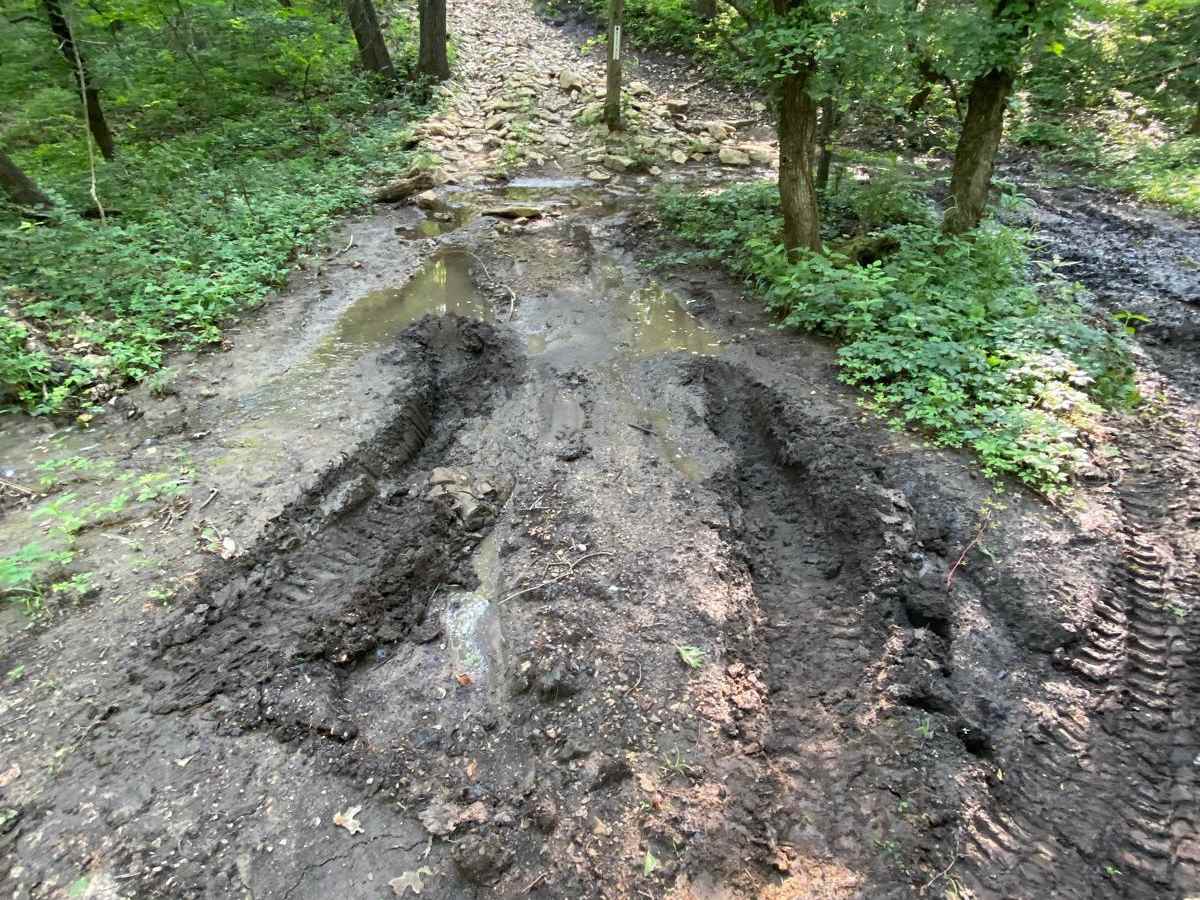 Muskrat Hill trail photo