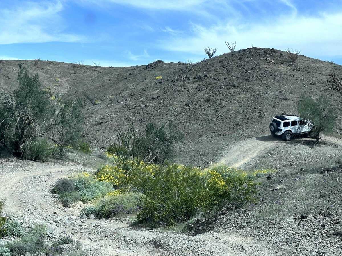 Laguna Hills Rollercoaster photo 6